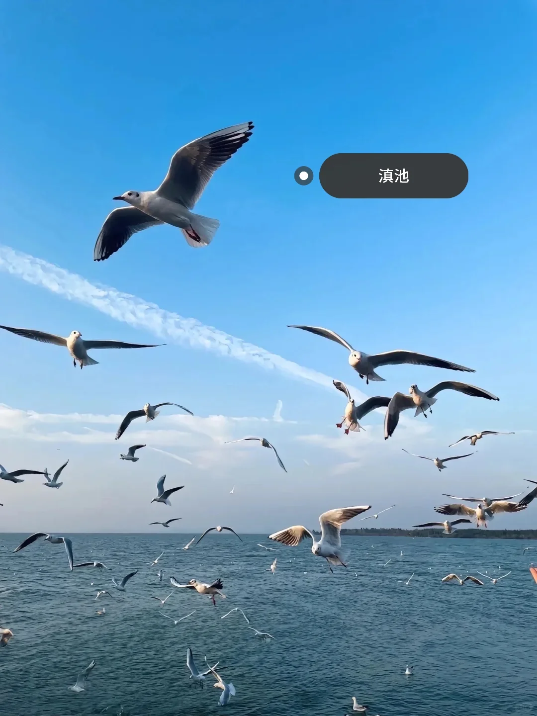 “中国此生必去的十大地方”
