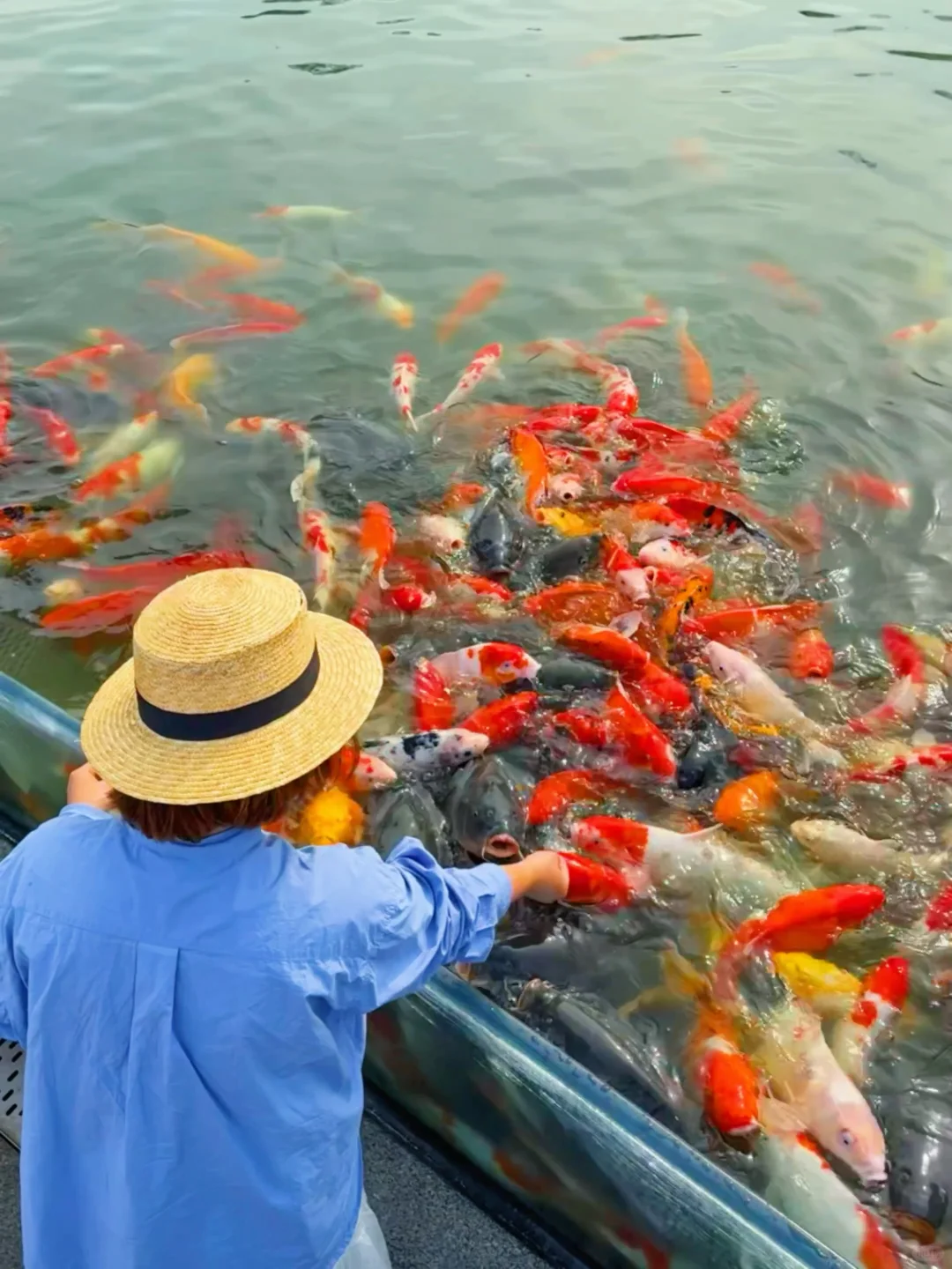 河北‼️你不宣传这里！你糊涂啊😂