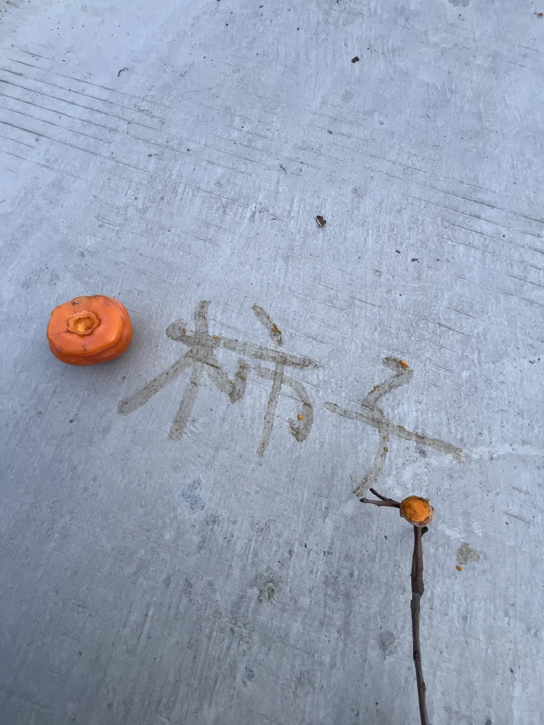 石家庄适合遛娃的景区，淡季人少，景色还美