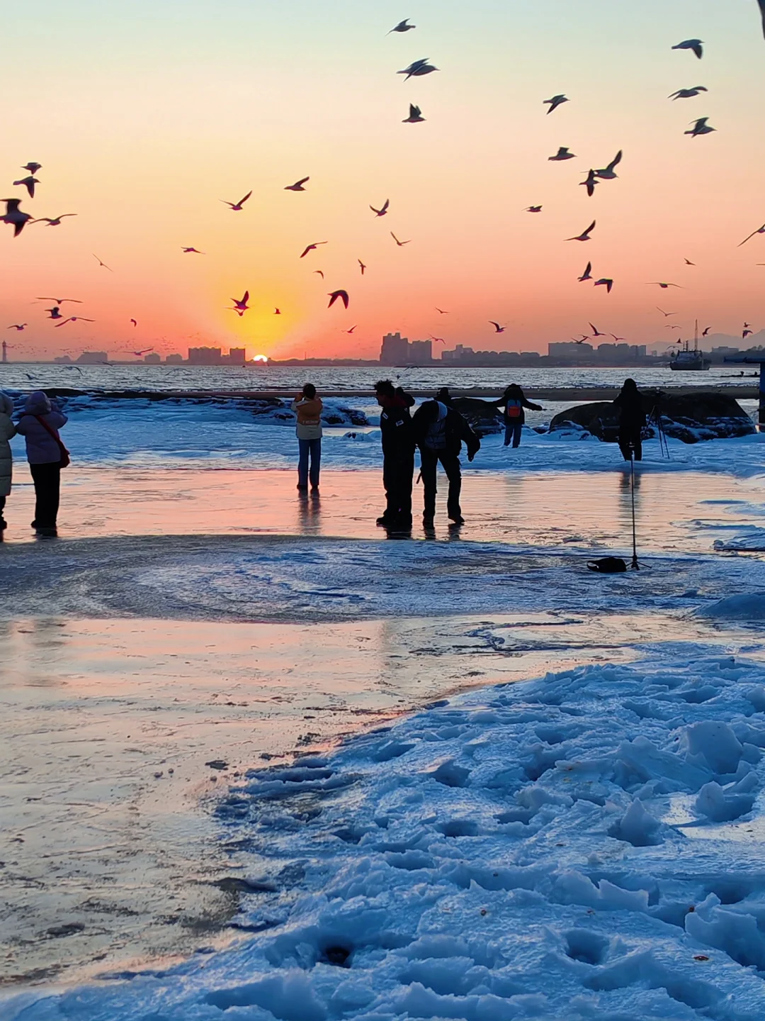 下个月一起去秦皇岛看冰河世纪‼️