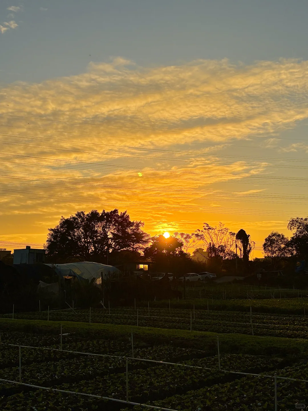 自由的风🏞️🌳🍃