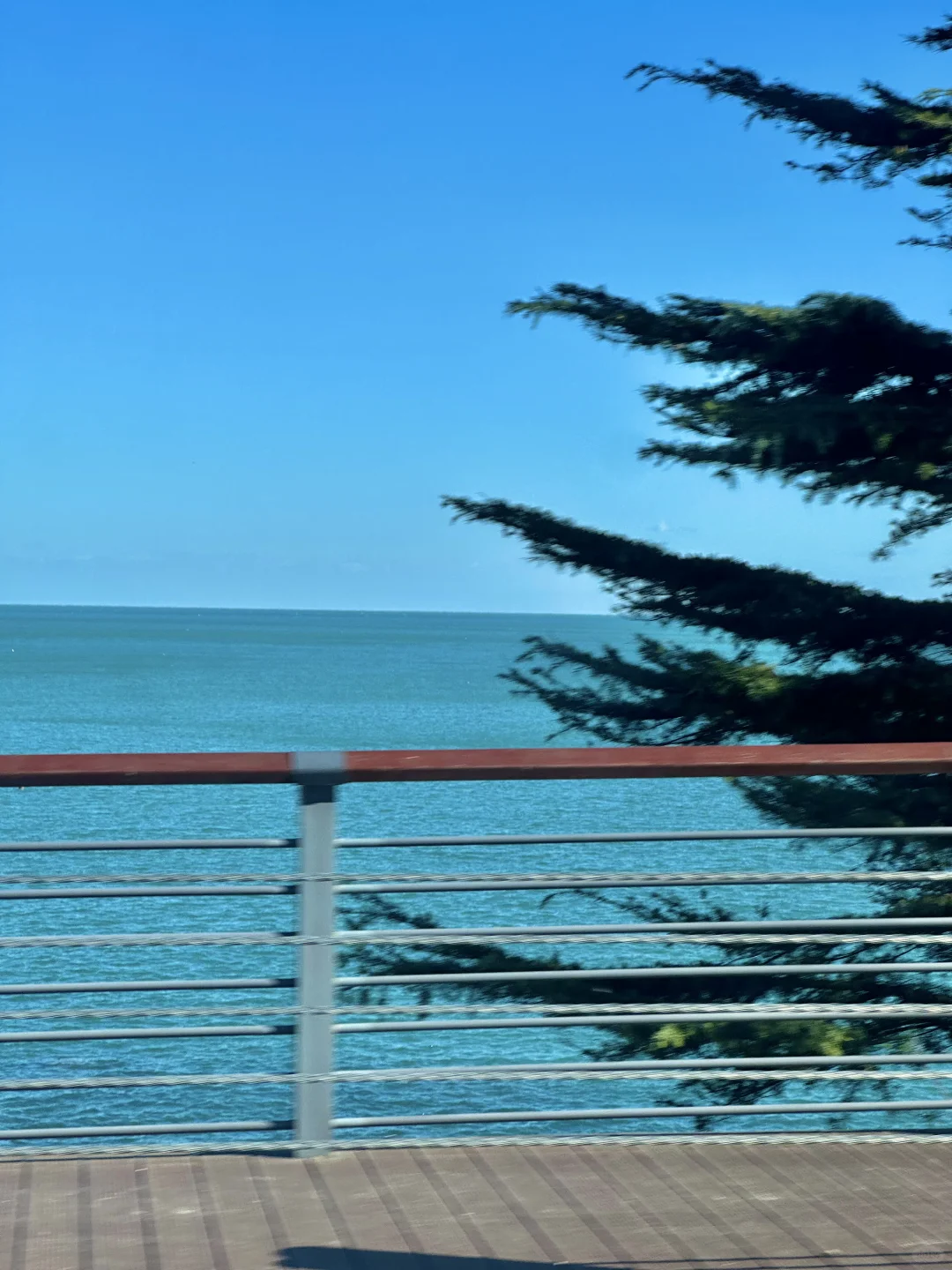 人生建议：去青岛一定要坐次1元环海公交……