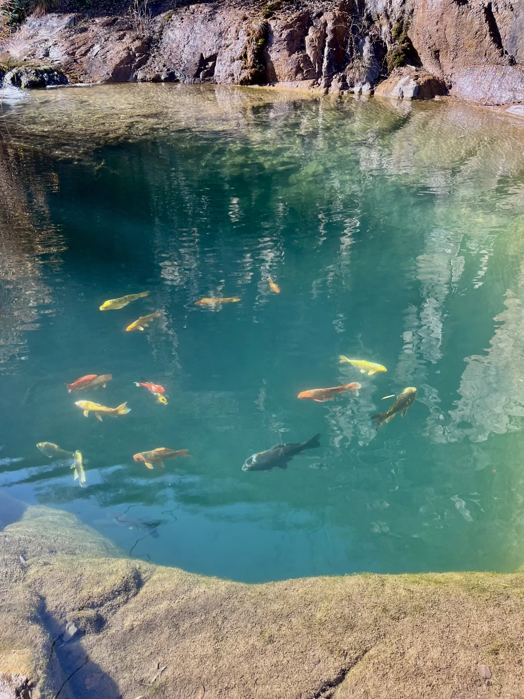 石家庄适合遛娃的景区，淡季人少，景色还美