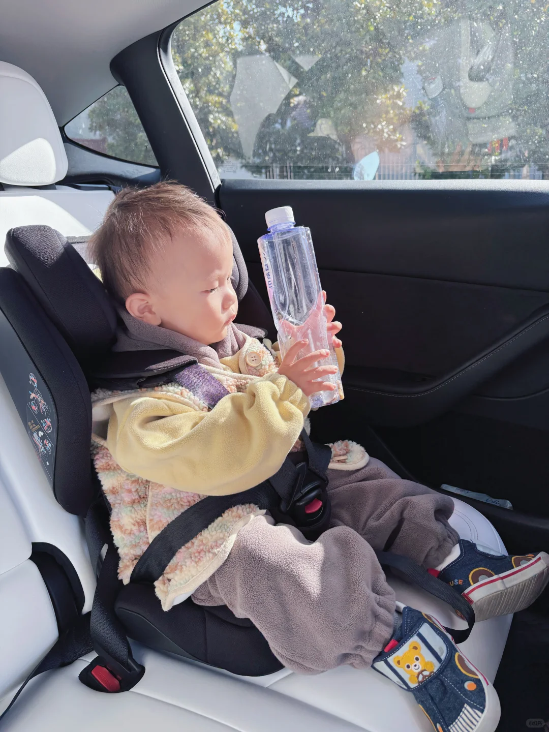 江浙沪遛娃plog崇明吃席一日游西沙湿地公园