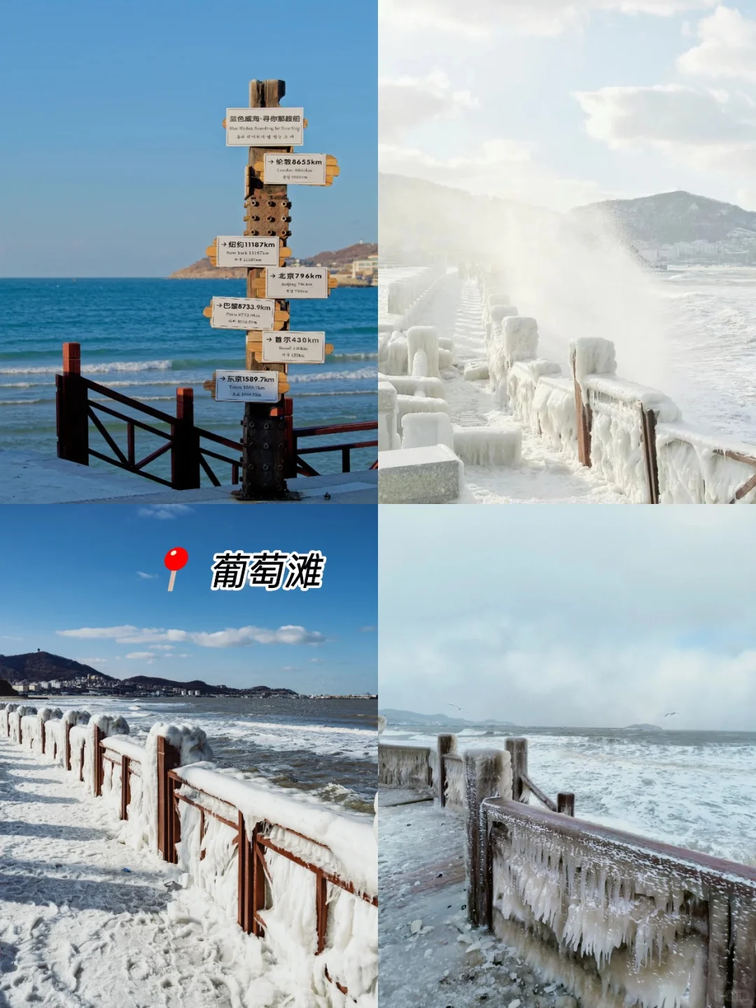 威海旅游攻略！！！一篇讲清楚威海景点怎么玩