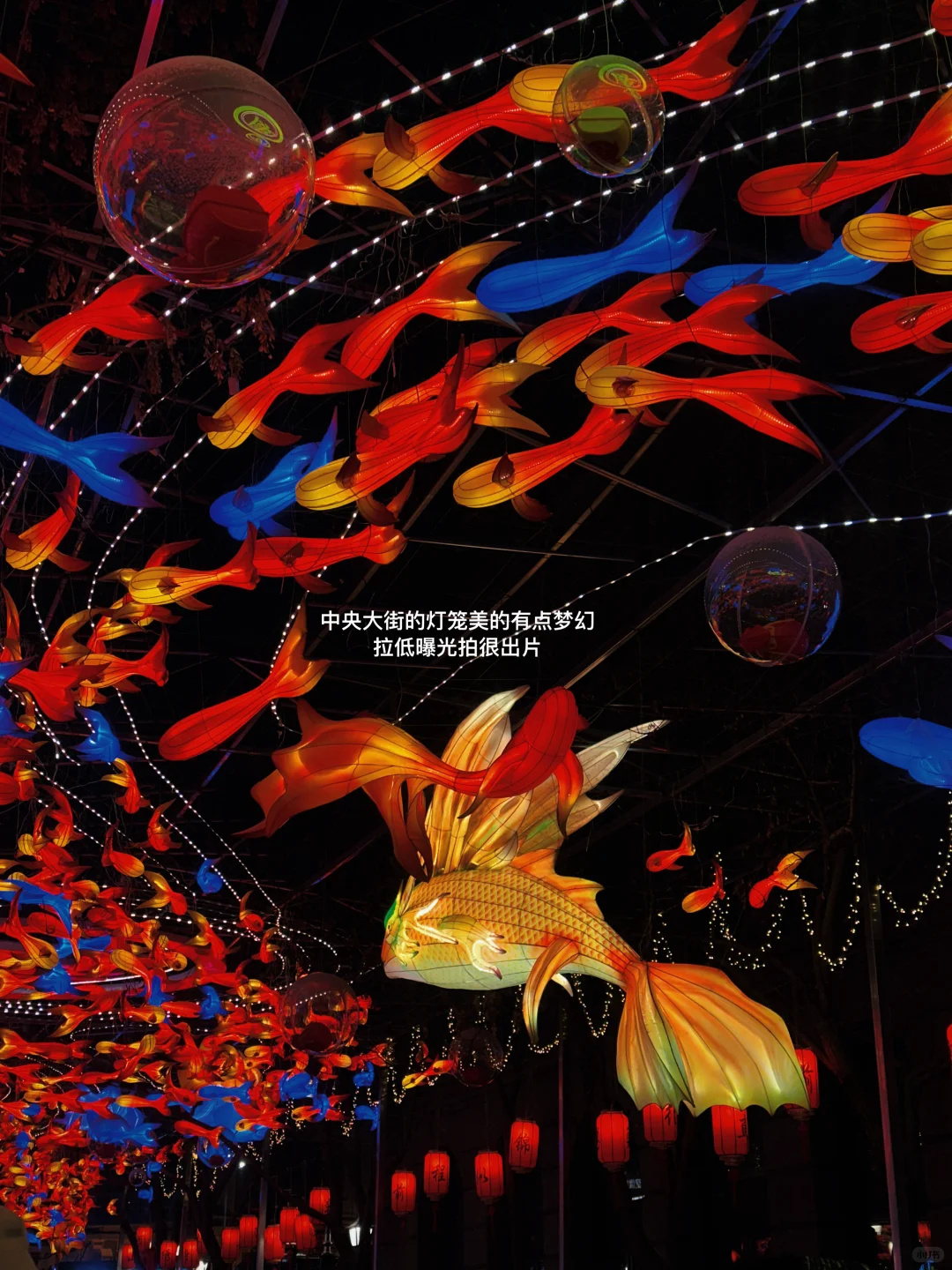 在哈尔滨的4天3晚❄️南方J人自由行攻略