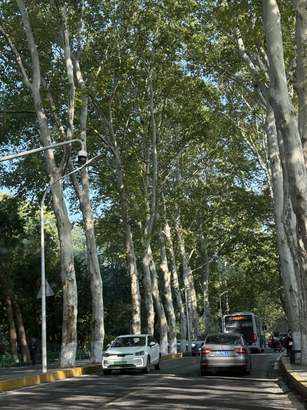 第一次来东湖玩什么？分享一下我的经验🧐