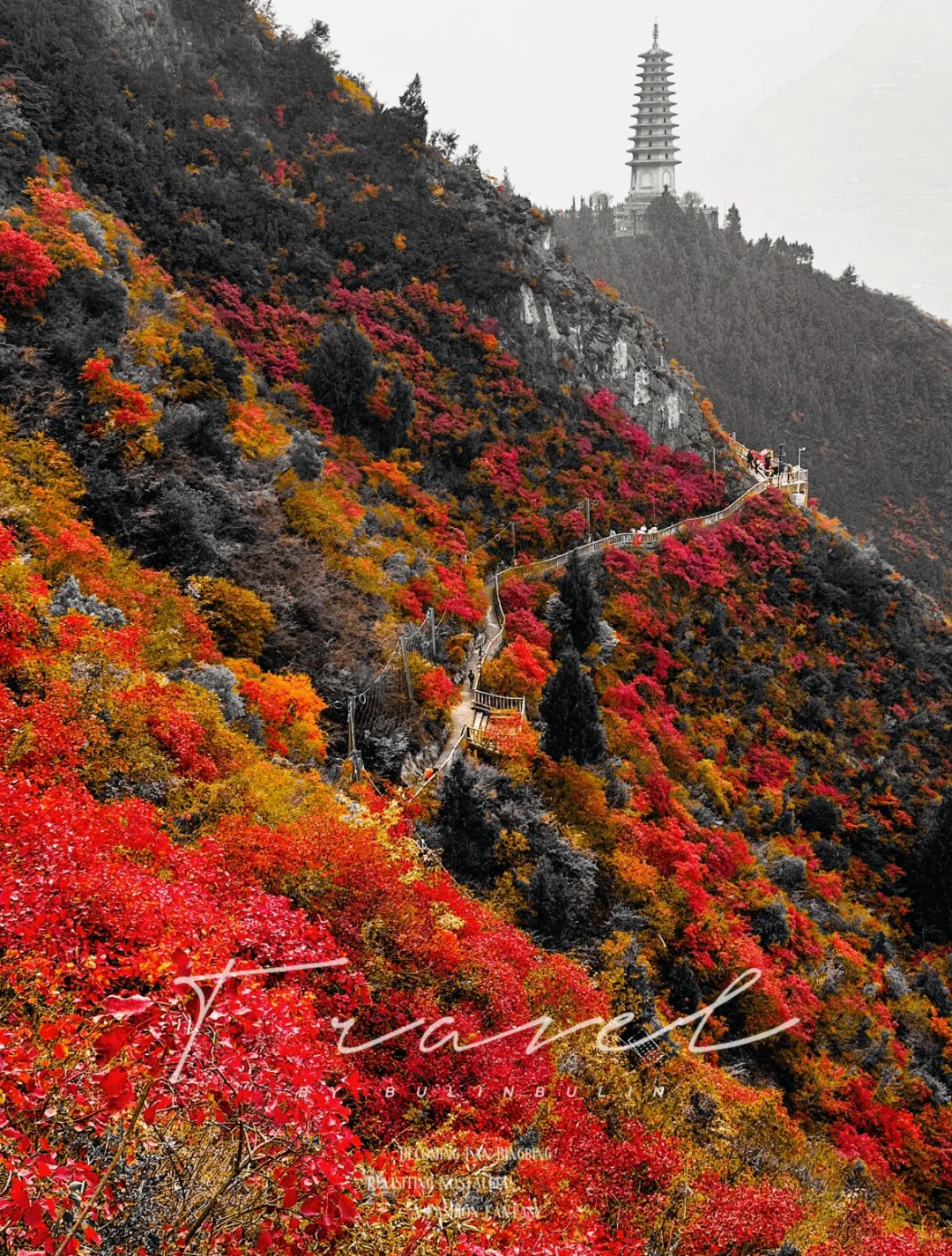 三峡红叶季封神！长江奇迹号游轮躺玩攻略