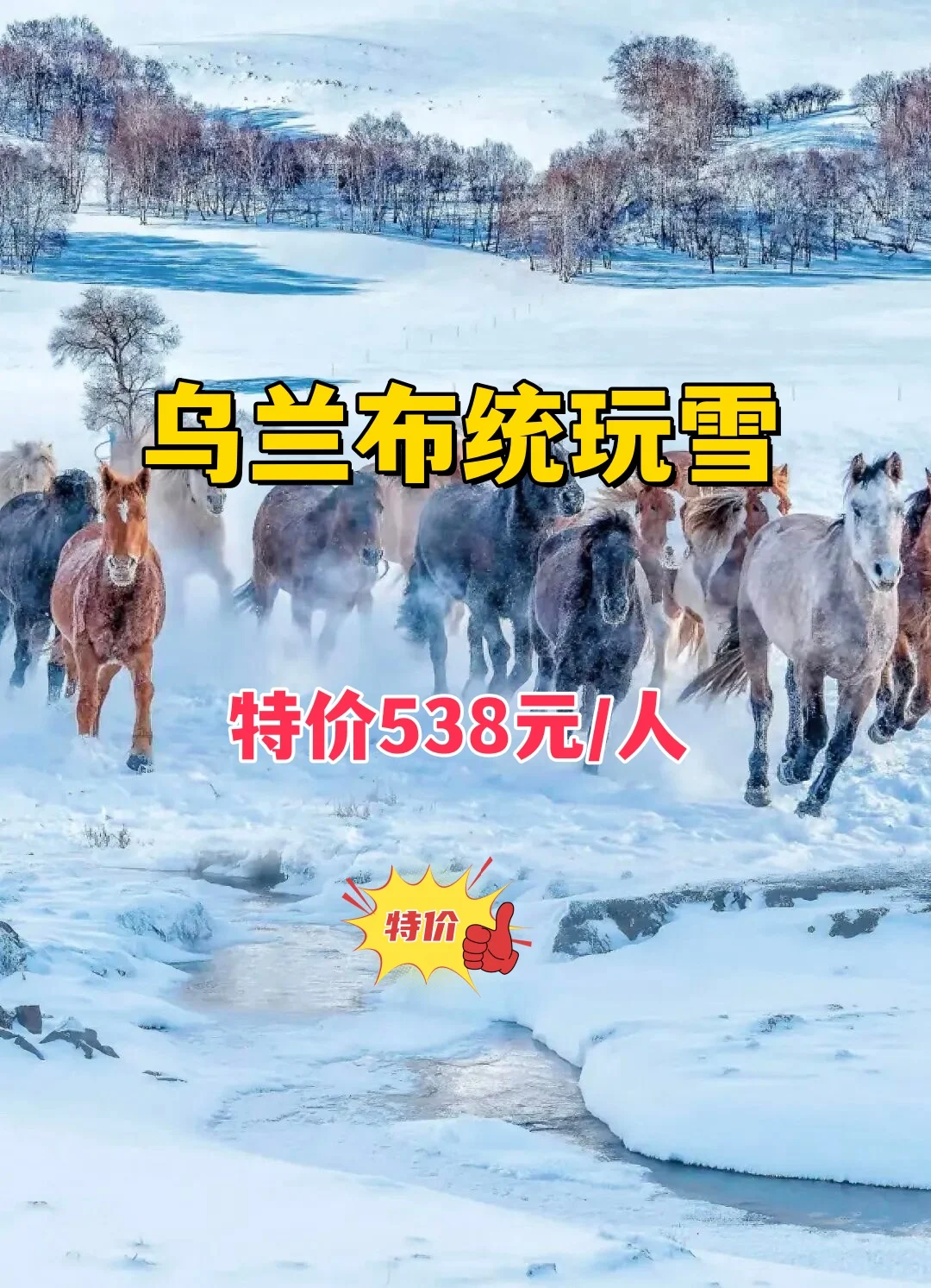🌨️乌兰布统玩雪攻略｜雪国童话照进现实