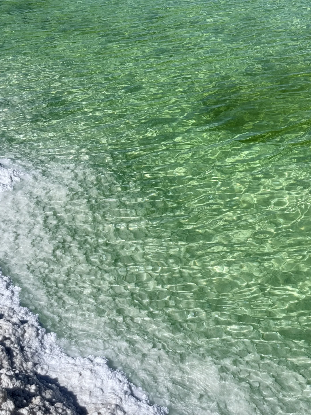 察尔汗盐湖 请你喝 冰萃青提 🧊