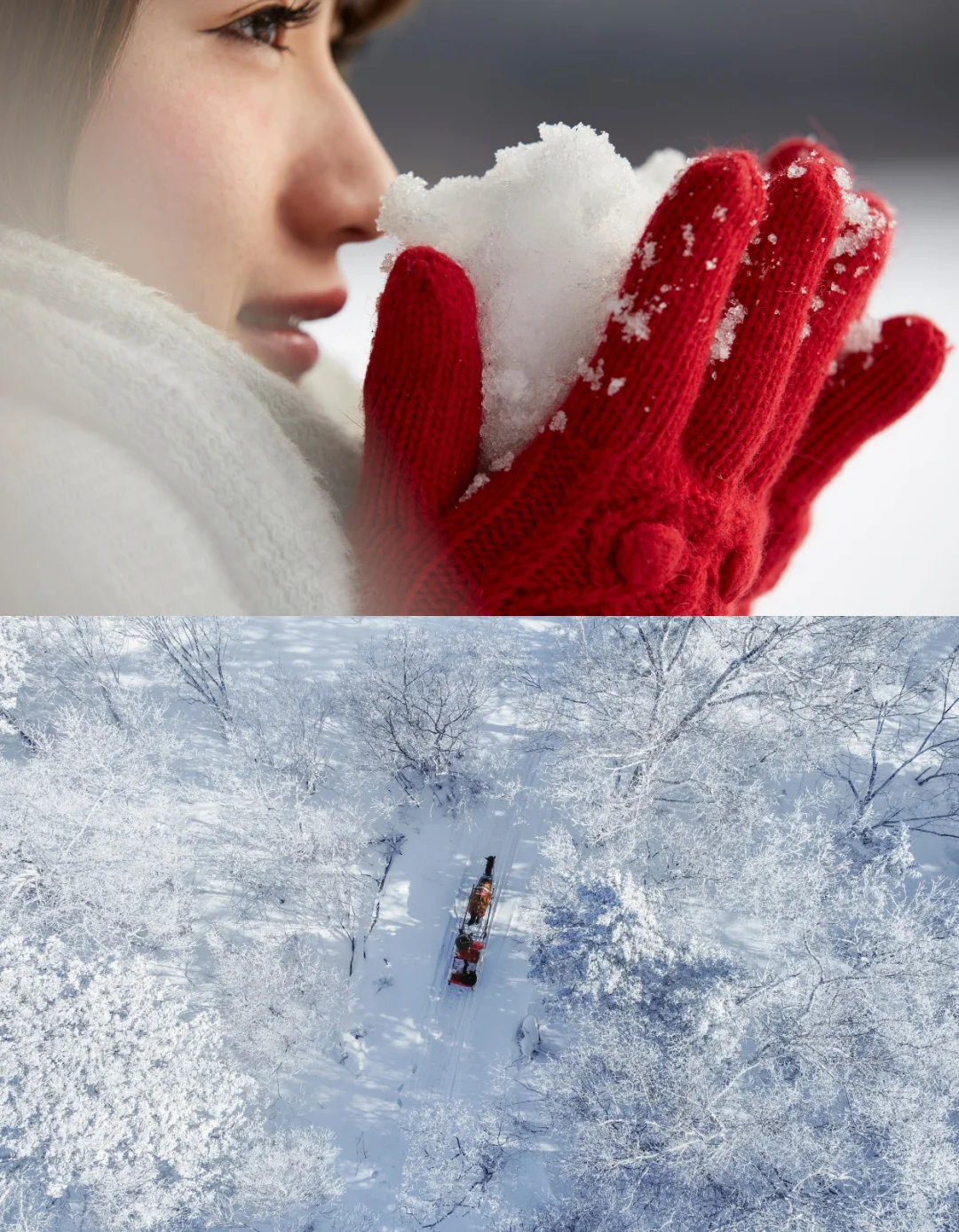 比肩阿尔卑斯，南方人的冬季必玩，3个字