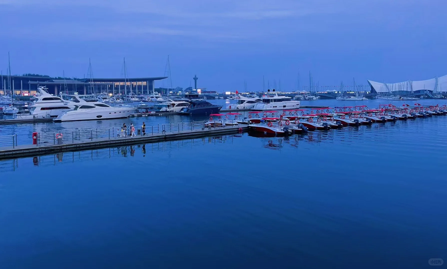 🌉 青岛|青岛胶州湾大桥