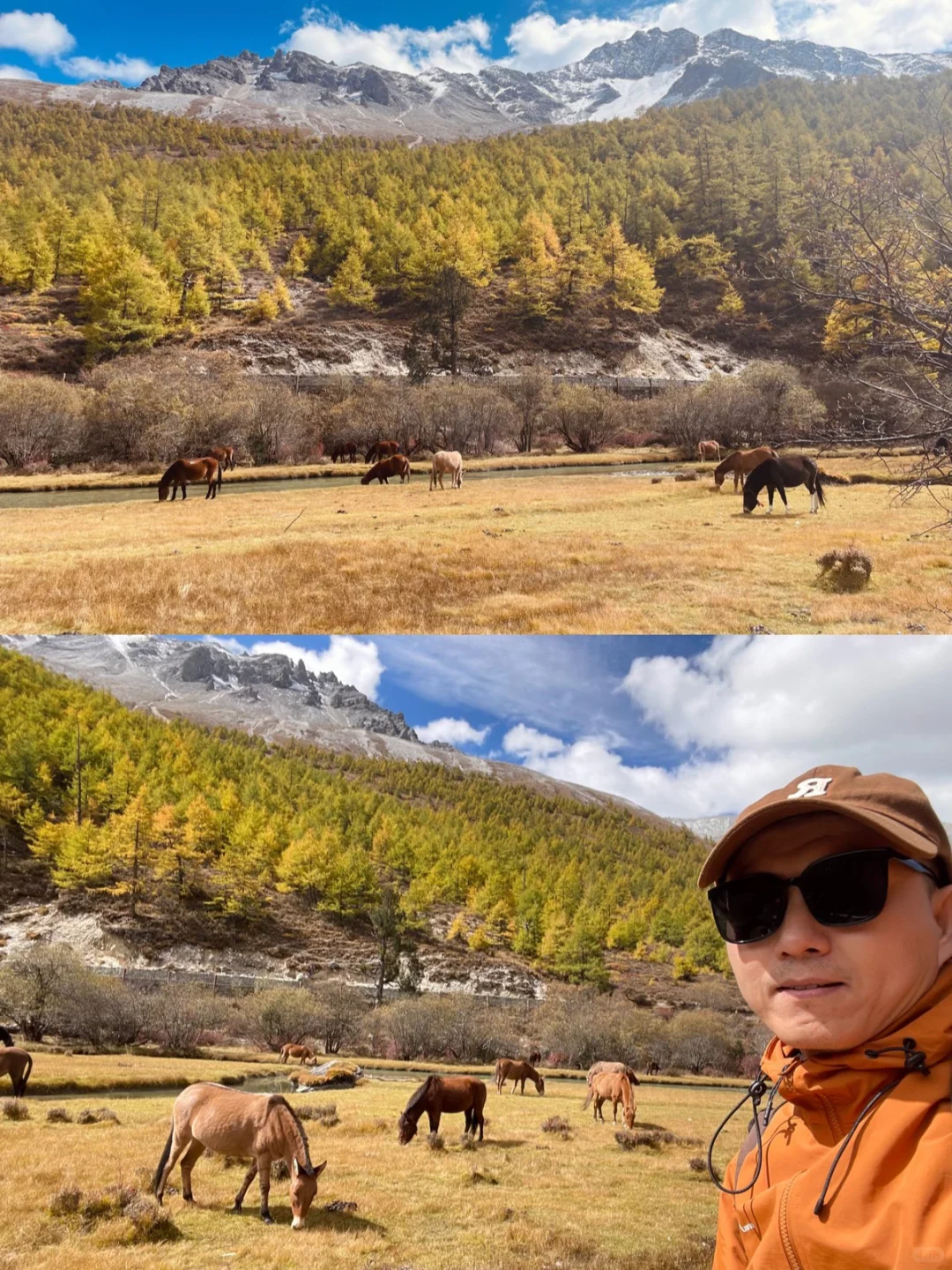 稻城亚丁的秋天，是上帝打翻的调色盘！🏔️