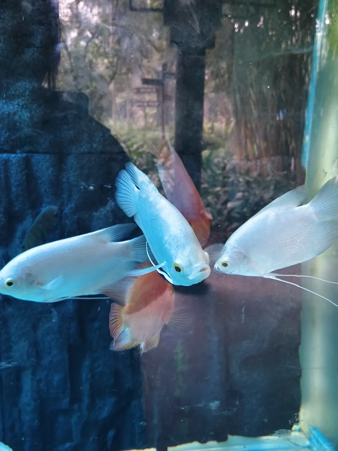 📍济南出发|周末两日游好去处推荐~