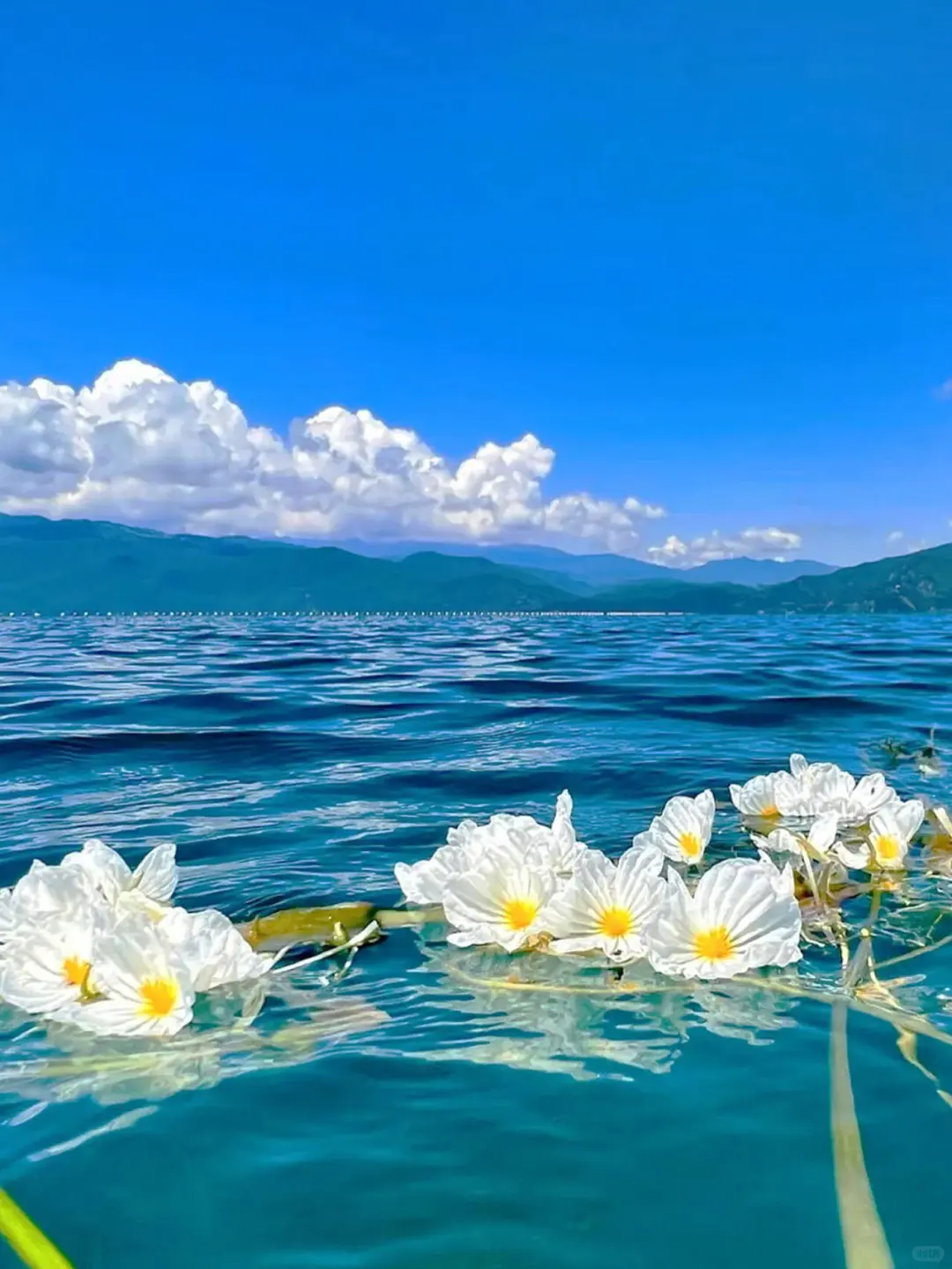 11-12月去云南旅游📍人均1k+💰玩转3地