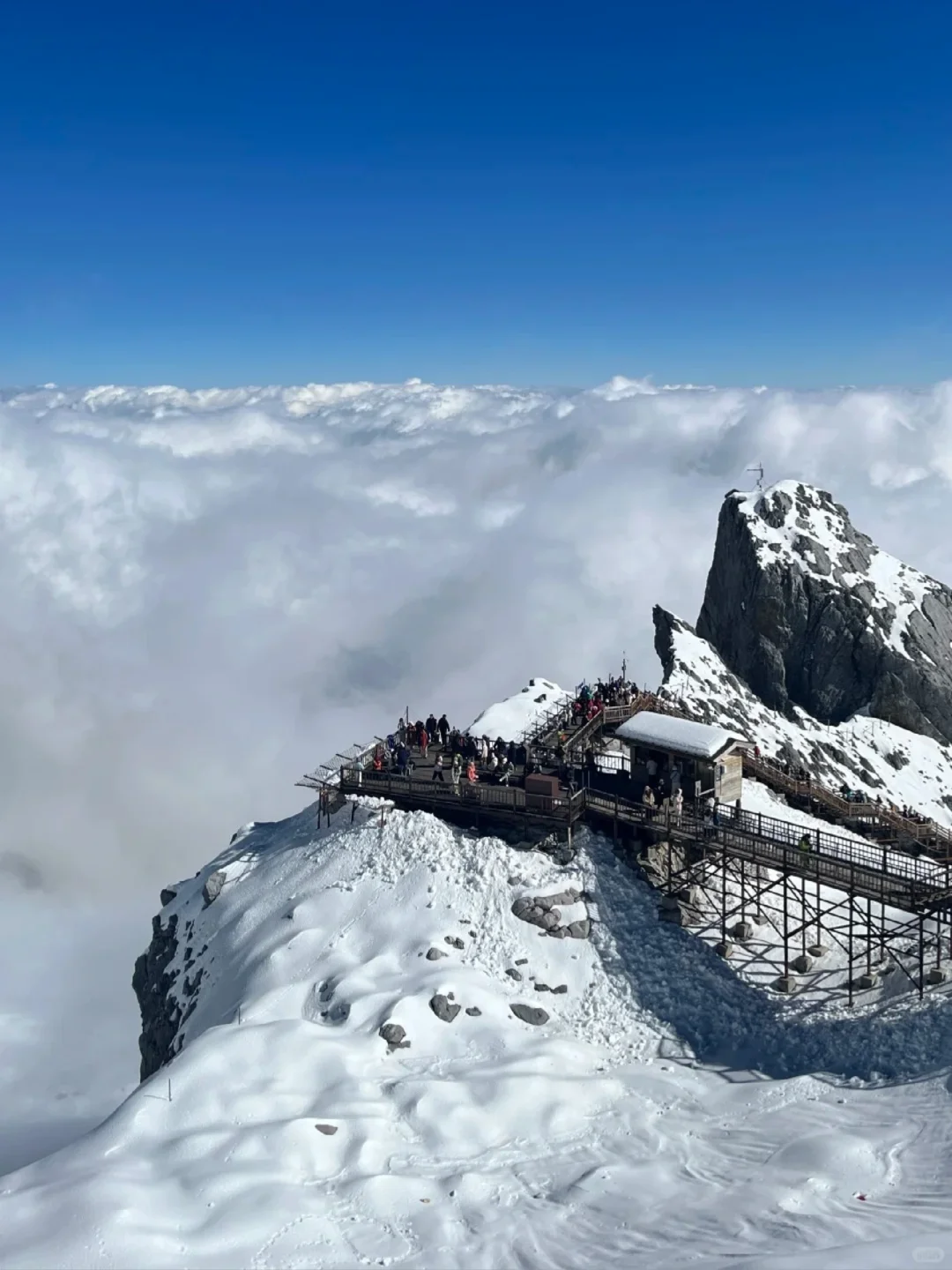 📍 玉龙雪山12.2实况｜一日游丽江往返200+
