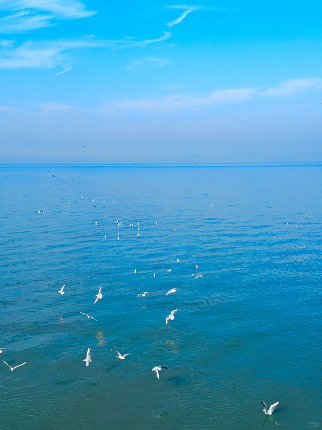 迄今为止，我最喜欢的赏秋小城出现了！美哭😭