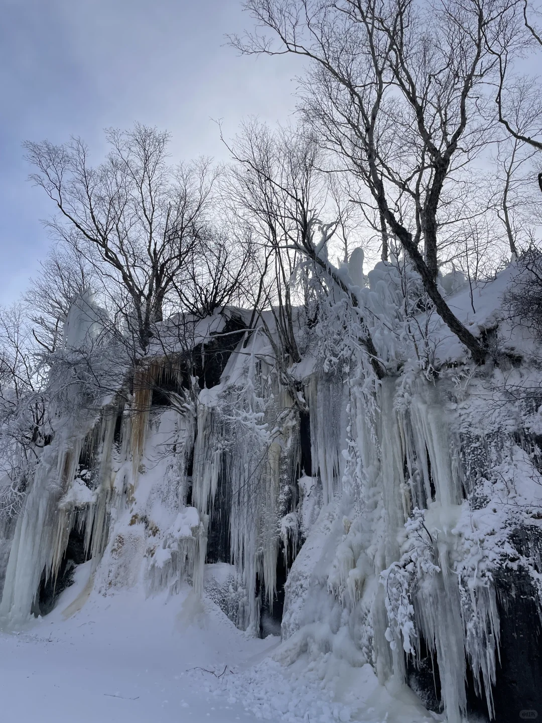 12.2长白山热冒烟了...