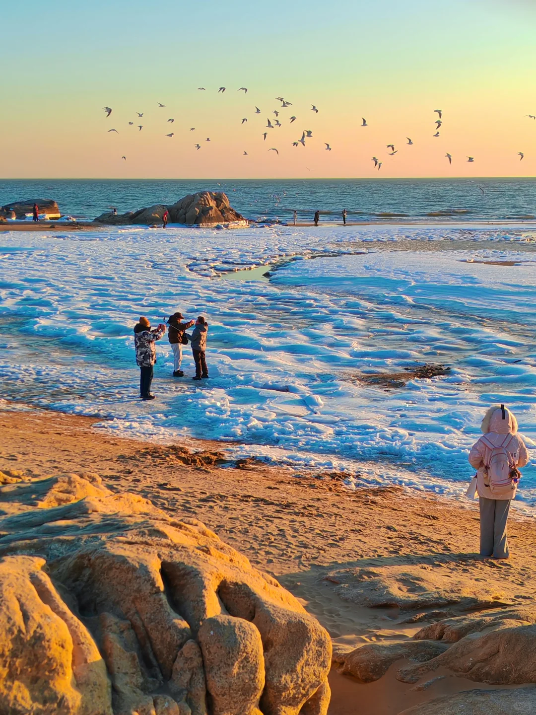 下个月一起去秦皇岛看冰河世纪‼️