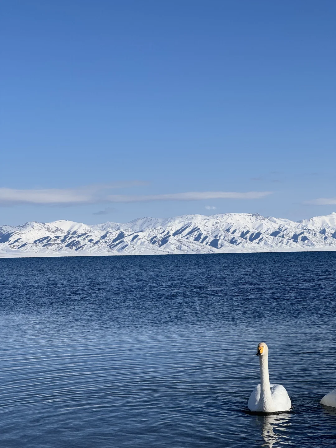 新疆7 天6晚保姆级攻略|赛湖+禾木+滑雪