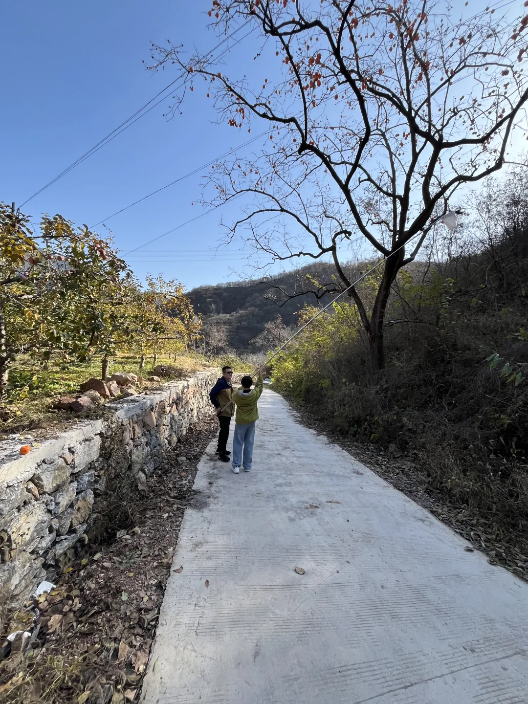 石家庄适合遛娃的景区，淡季人少，景色还美