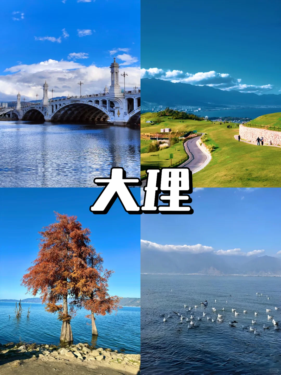 12-2月逃离寒冷❄️冬季反向旅游攻略来啦🙌🏻