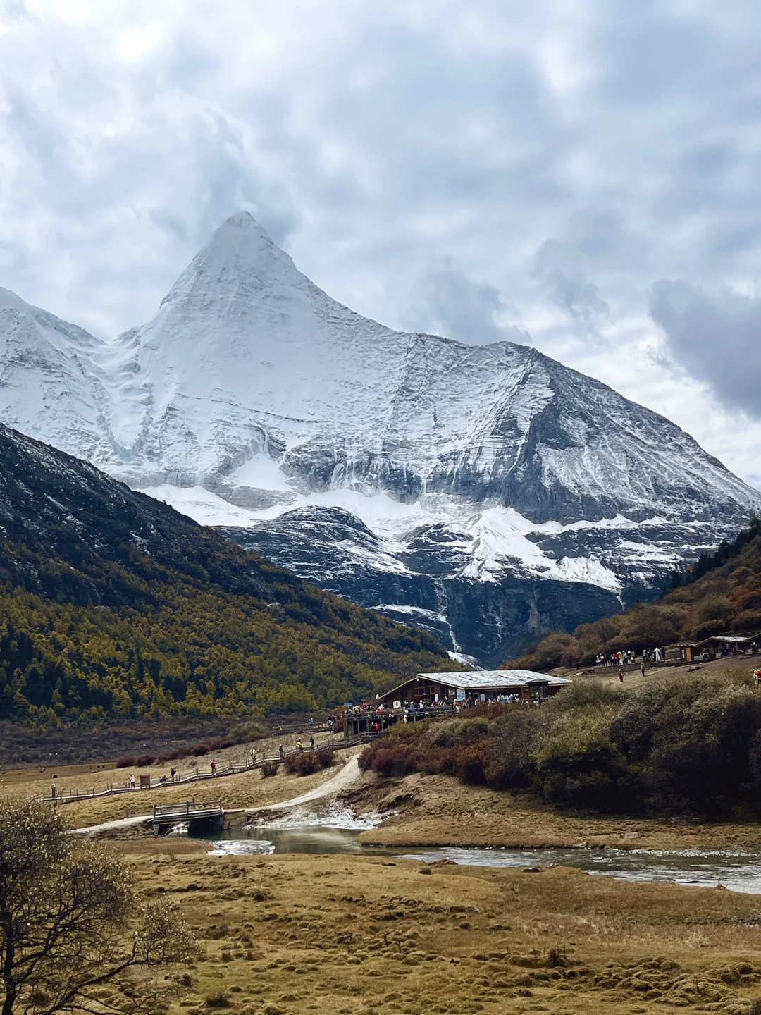 稻城亚丁的秋天，是上帝打翻的调色盘！🏔️