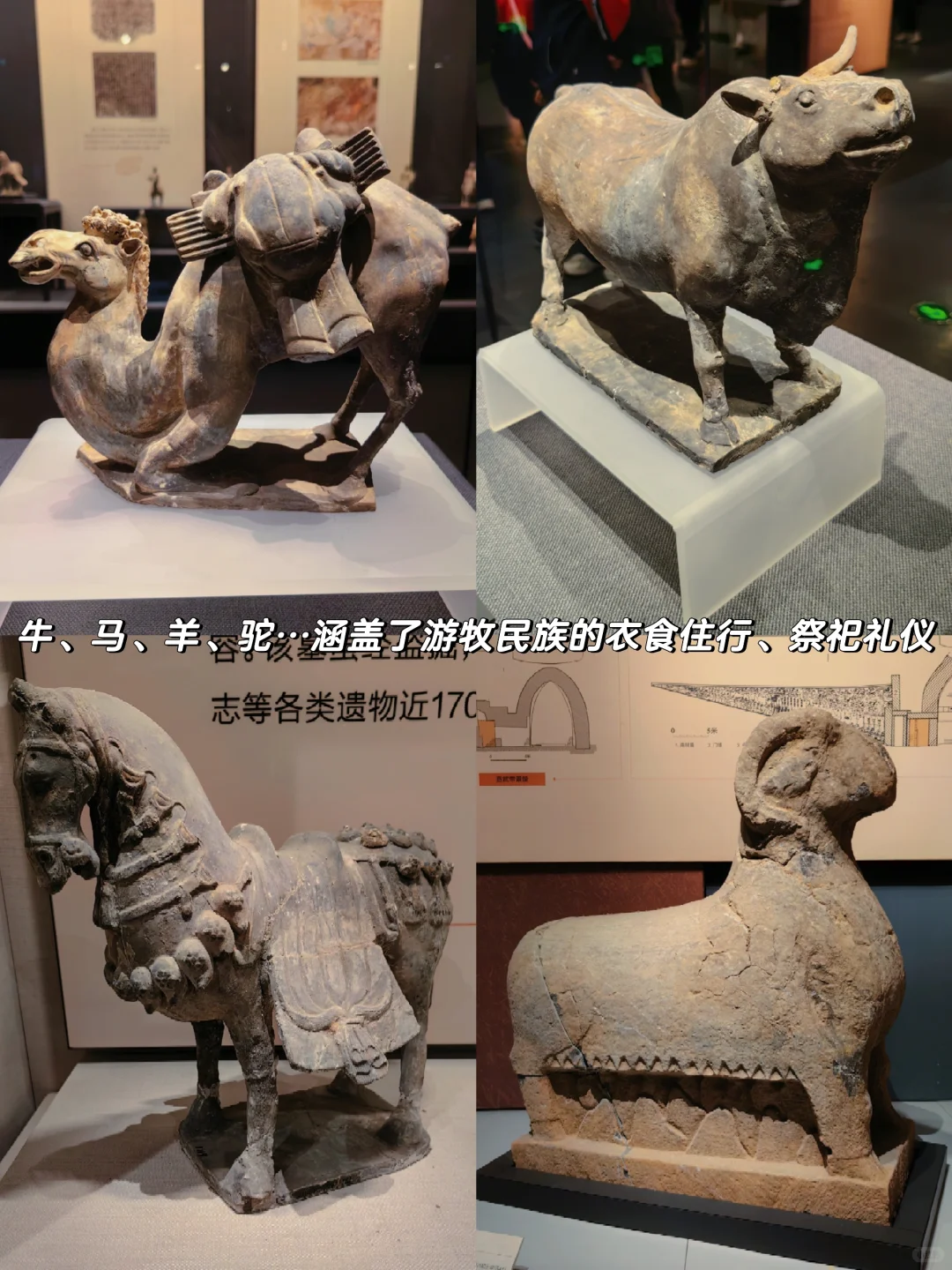 磁县|北朝的野心是一条吞噬银河的巨蟒