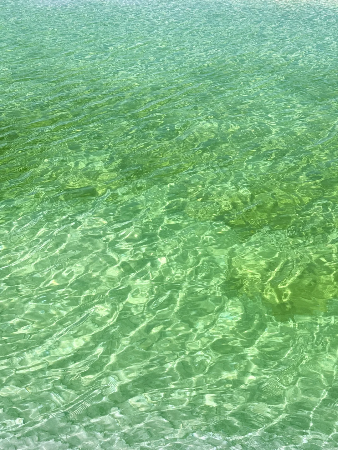 察尔汗盐湖 请你喝 冰萃青提 🧊