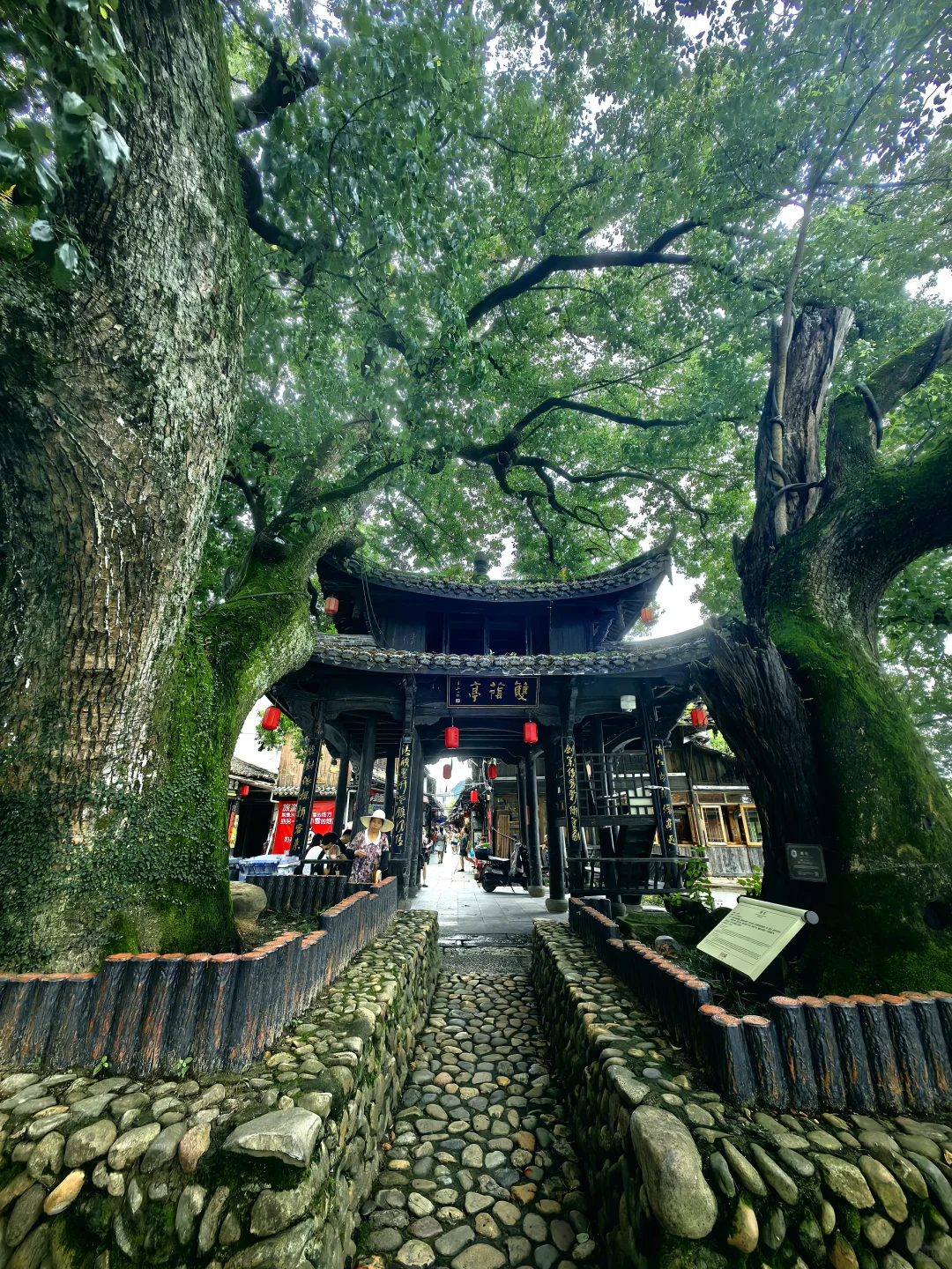 古堰画乡|诗意一般的古村！