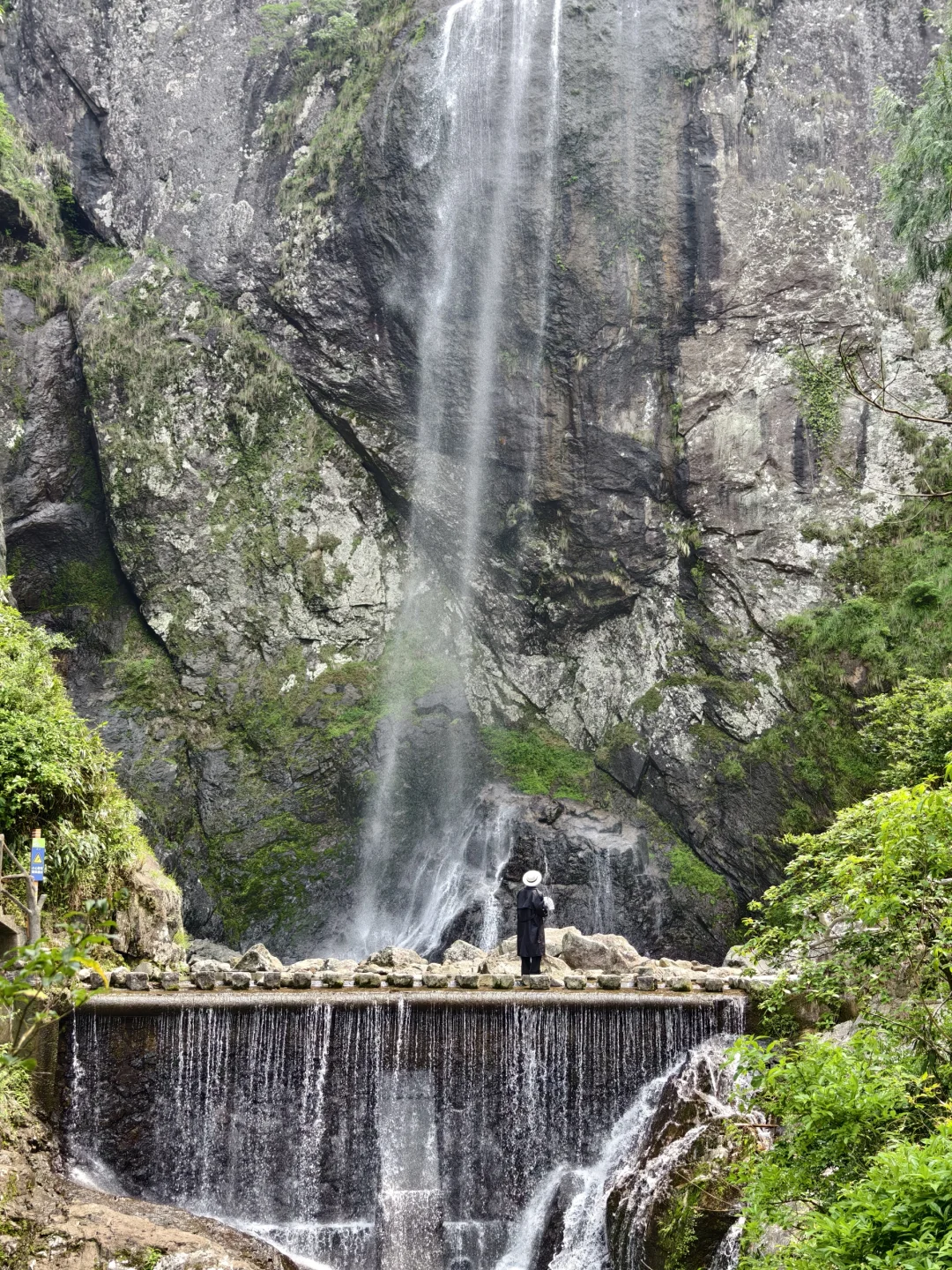 live图我宣布！小红书跟风打卡最成功的一次