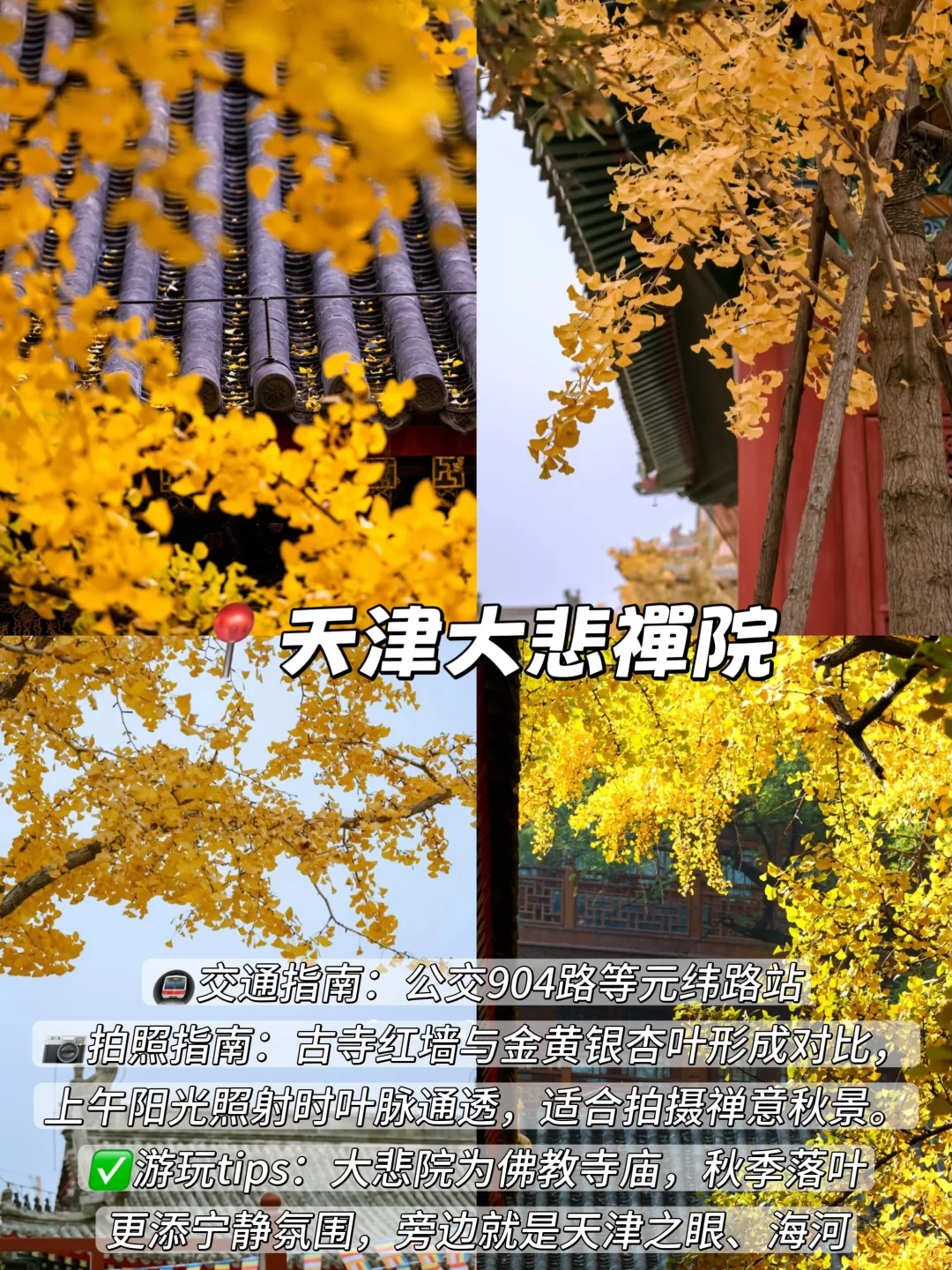 3年总结！天津秋天一定要去的9️⃣个地方！