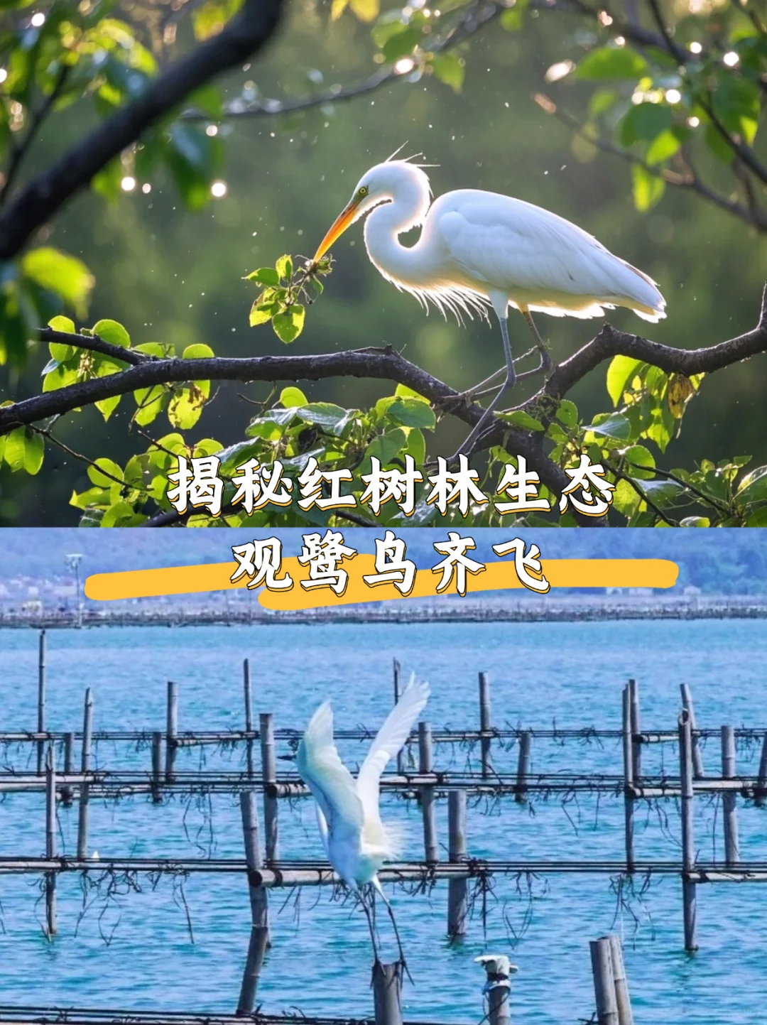 放弃海南了，国庆冲24℃的海岛，人少景还美