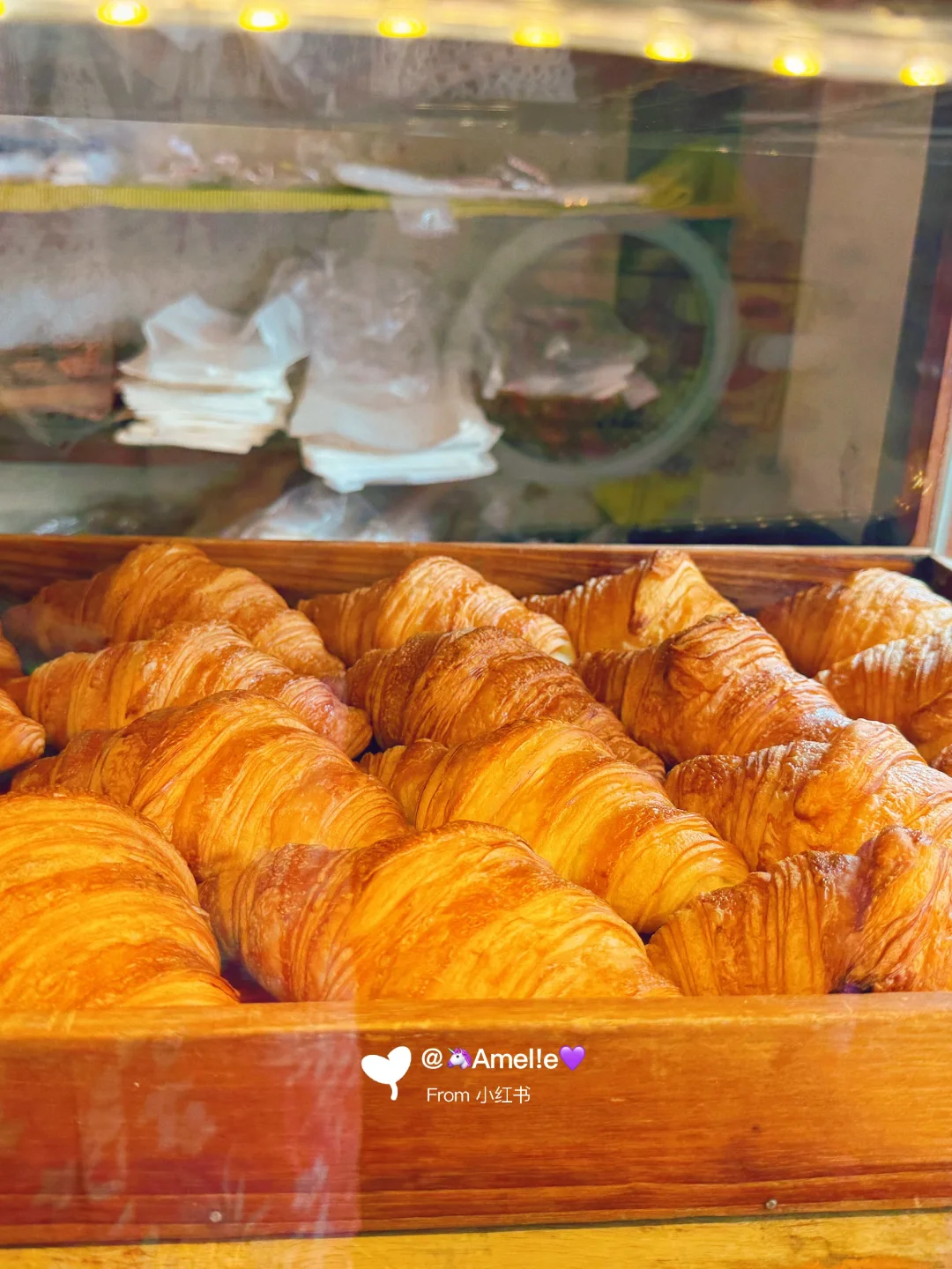 我的旅行搭子🥳