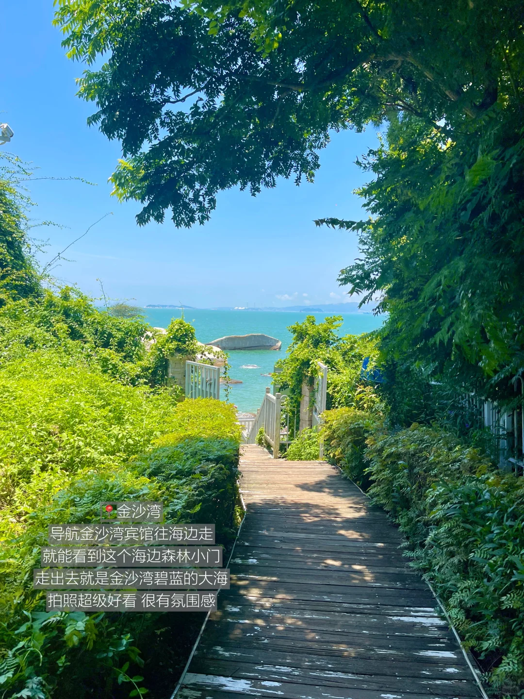 厦门不止鼓浪屿！！我超爱的1️⃣6️⃣个地方🏖️