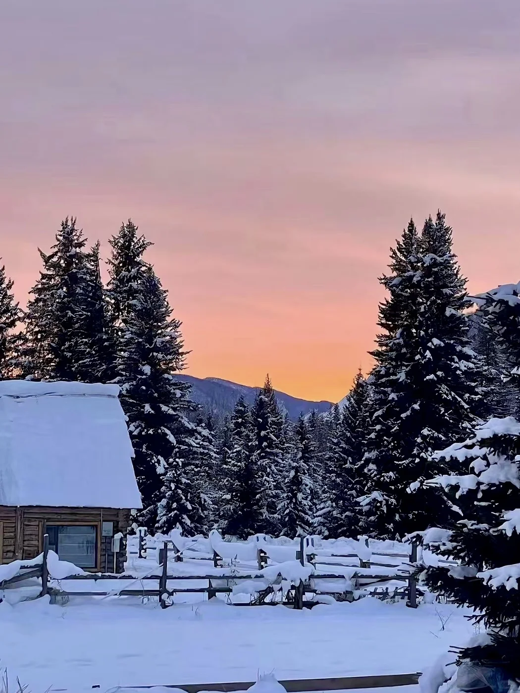 阿勒泰5日游｜冬季必冲路线+本地人玩法❄