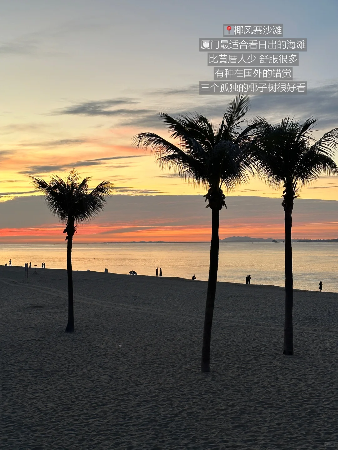 厦门不止鼓浪屿！！我超爱的1️⃣6️⃣个地方🏖️