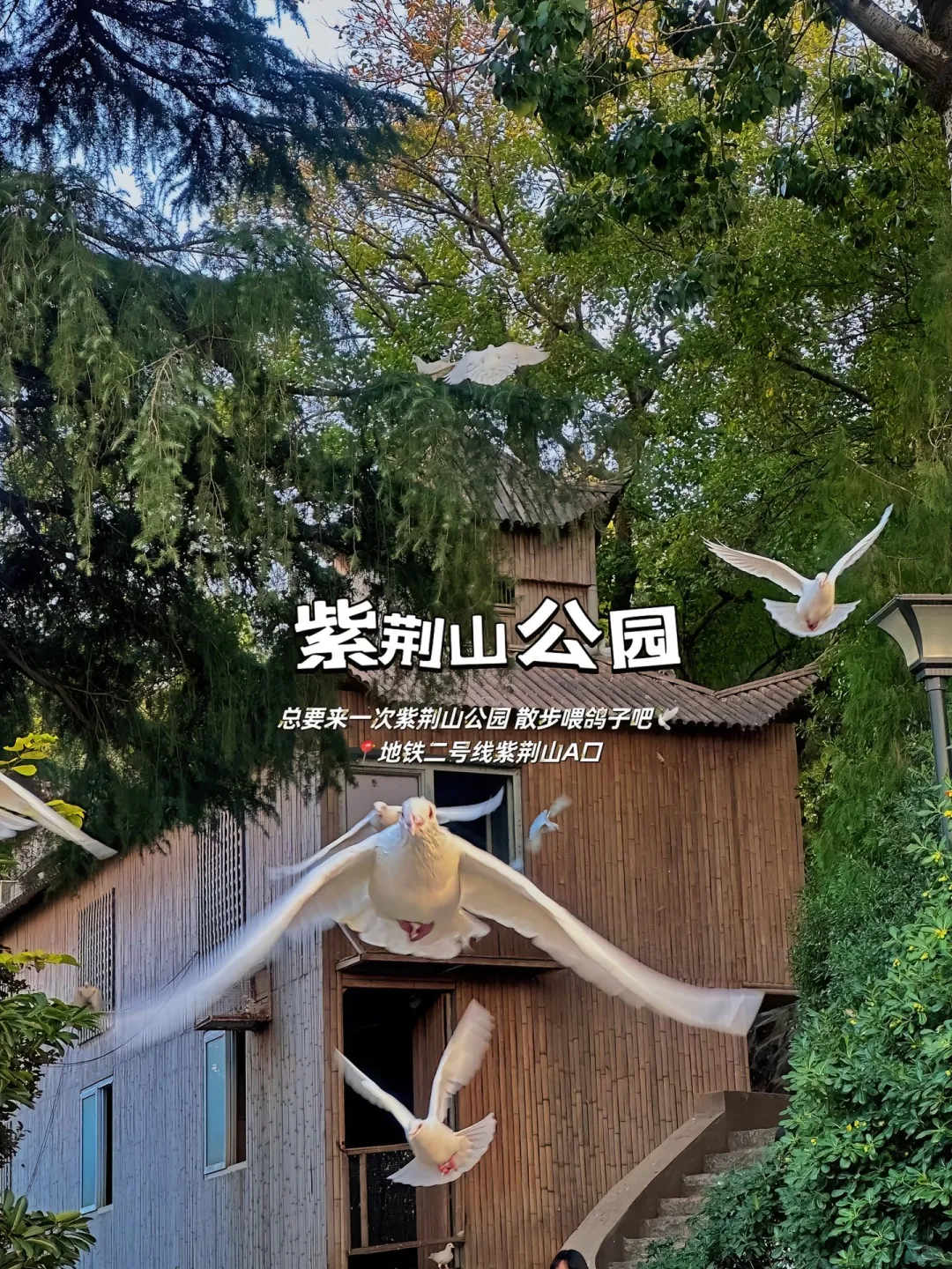 不花一分钱！9 个免费快乐地承包你的周末！