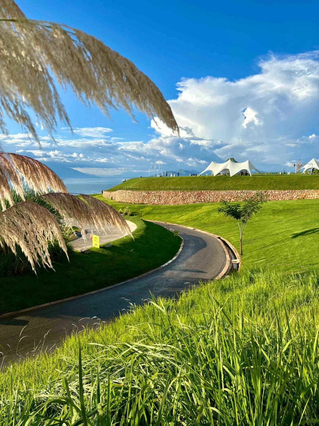 后悔才知道❗云南纯玩团｜纯玩度假🔥bi选