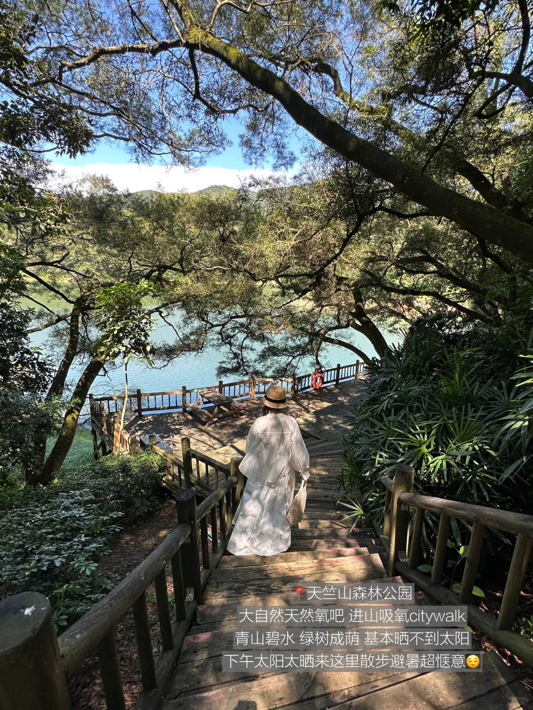 厦门不止鼓浪屿！！我超爱的1️⃣6️⃣个地方🏖️