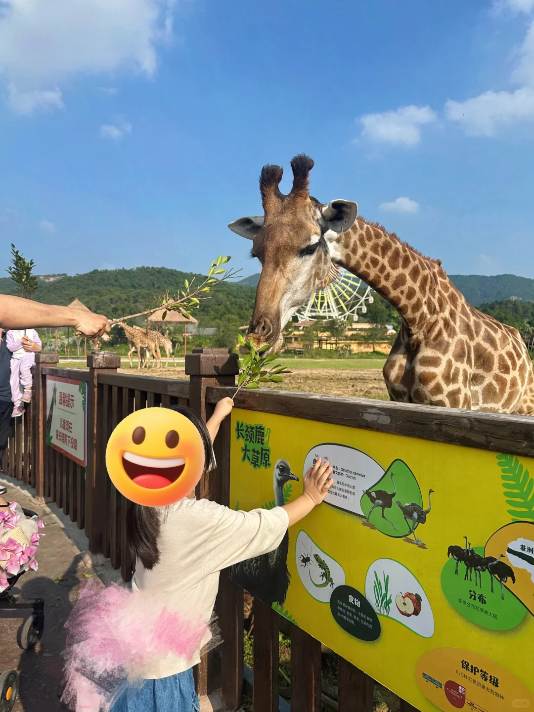 金秋特惠遛娃选清远长隆！火热抢订🔥