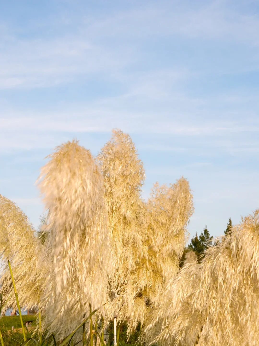 大理秋冬攻略🌅避开人潮玩出诗意🫧