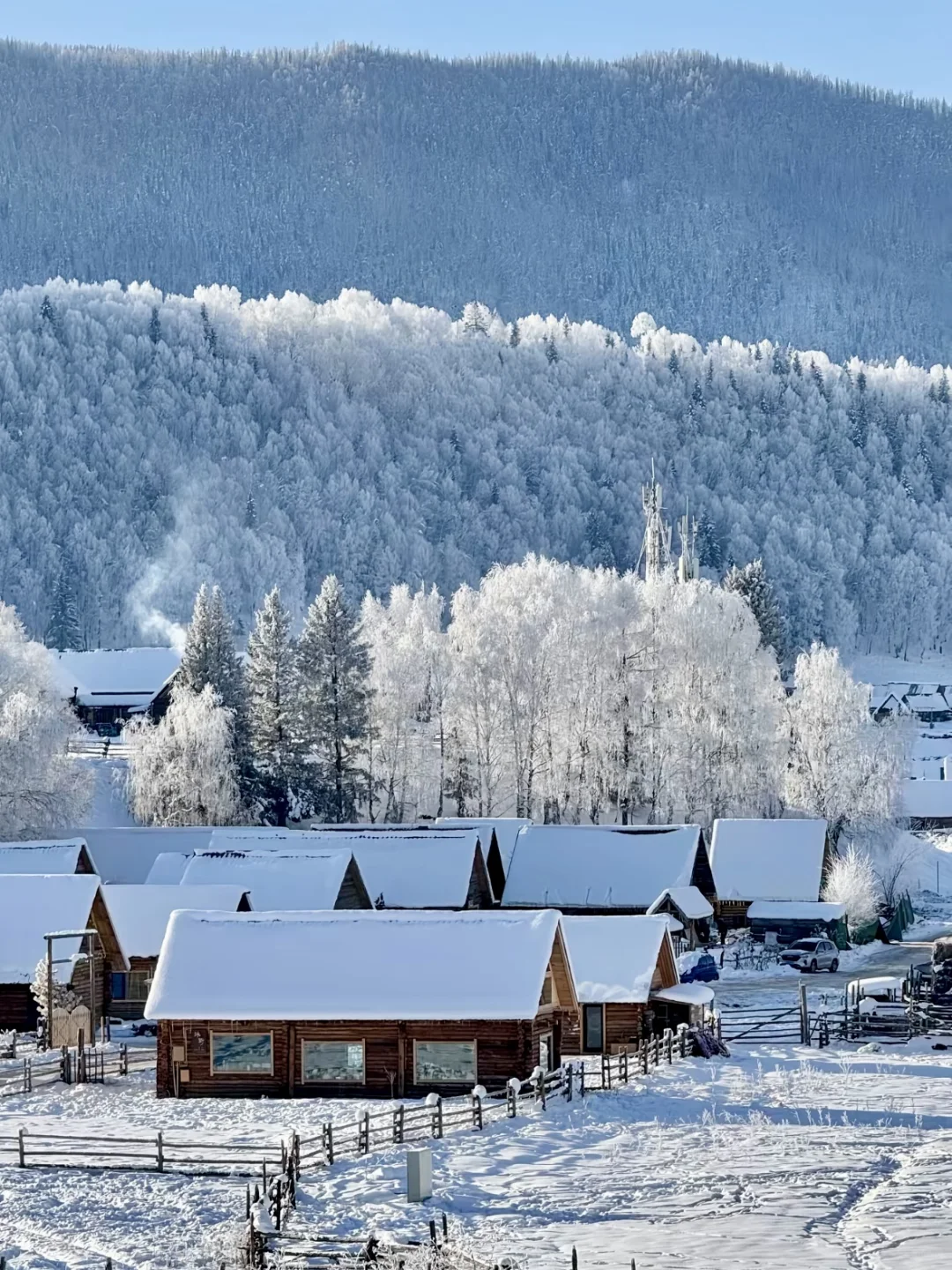 阿勒泰5日游｜冬季必冲路线+本地人玩法❄