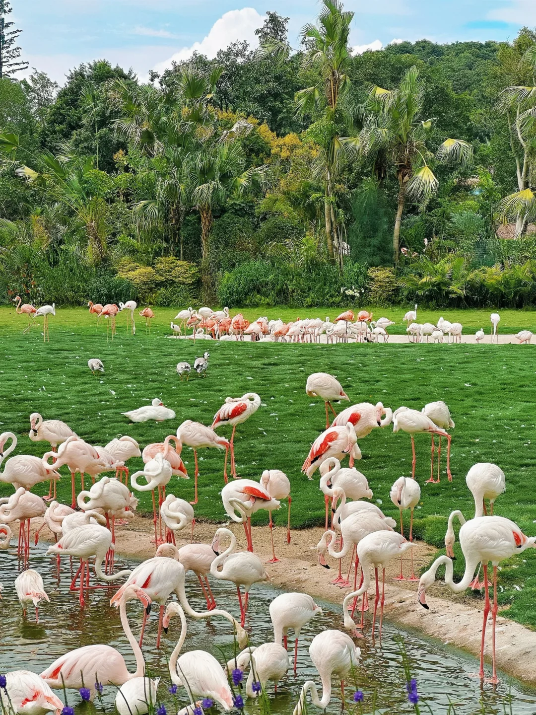 金秋特惠遛娃选清远长隆！火热抢订🔥