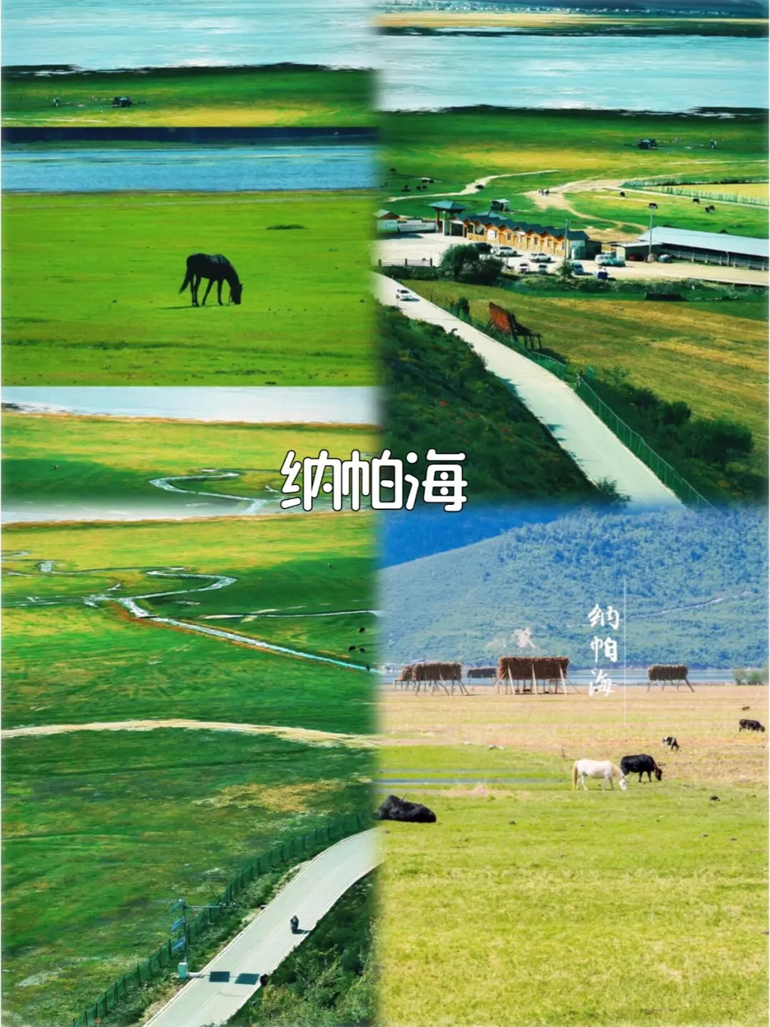 云南纯玩团6天5晚✅人均1000+💰敲详细版