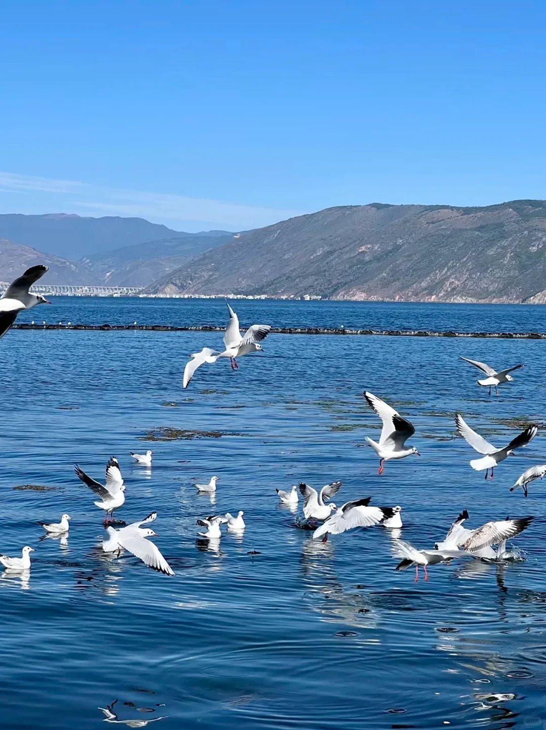 大理秋冬攻略🌅避开人潮玩出诗意🫧