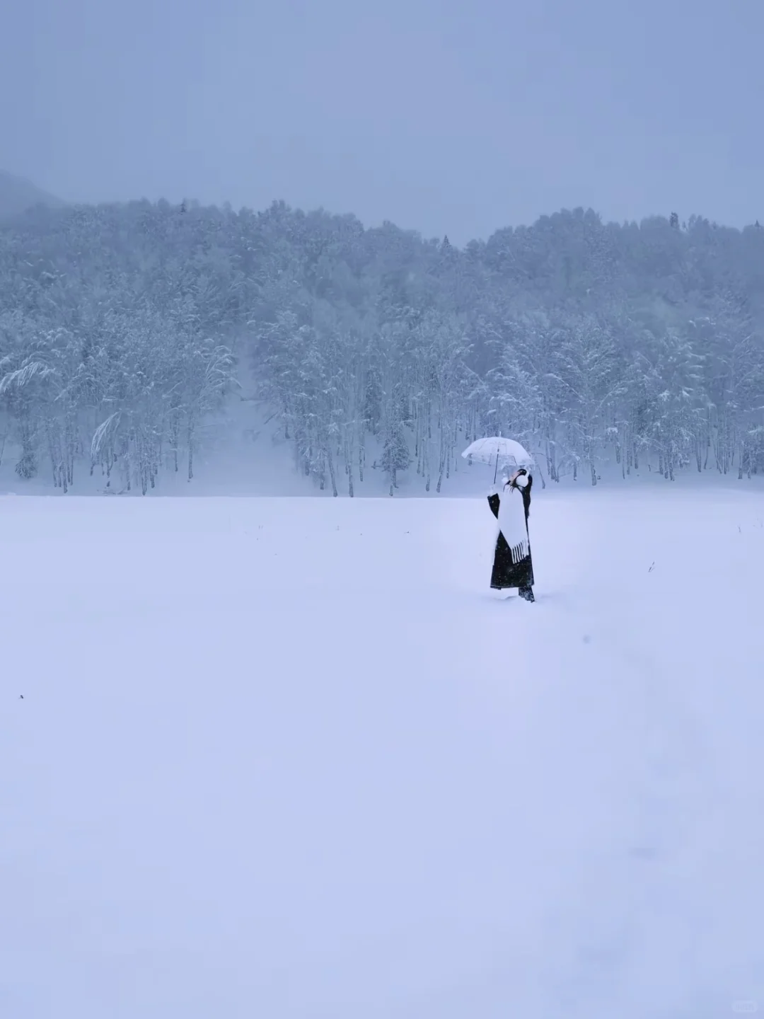 阿勒泰5日游｜冬季必冲路线+本地人玩法❄