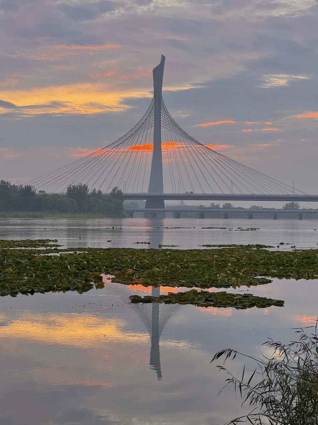 雨后的滹沱河太美啦🌇