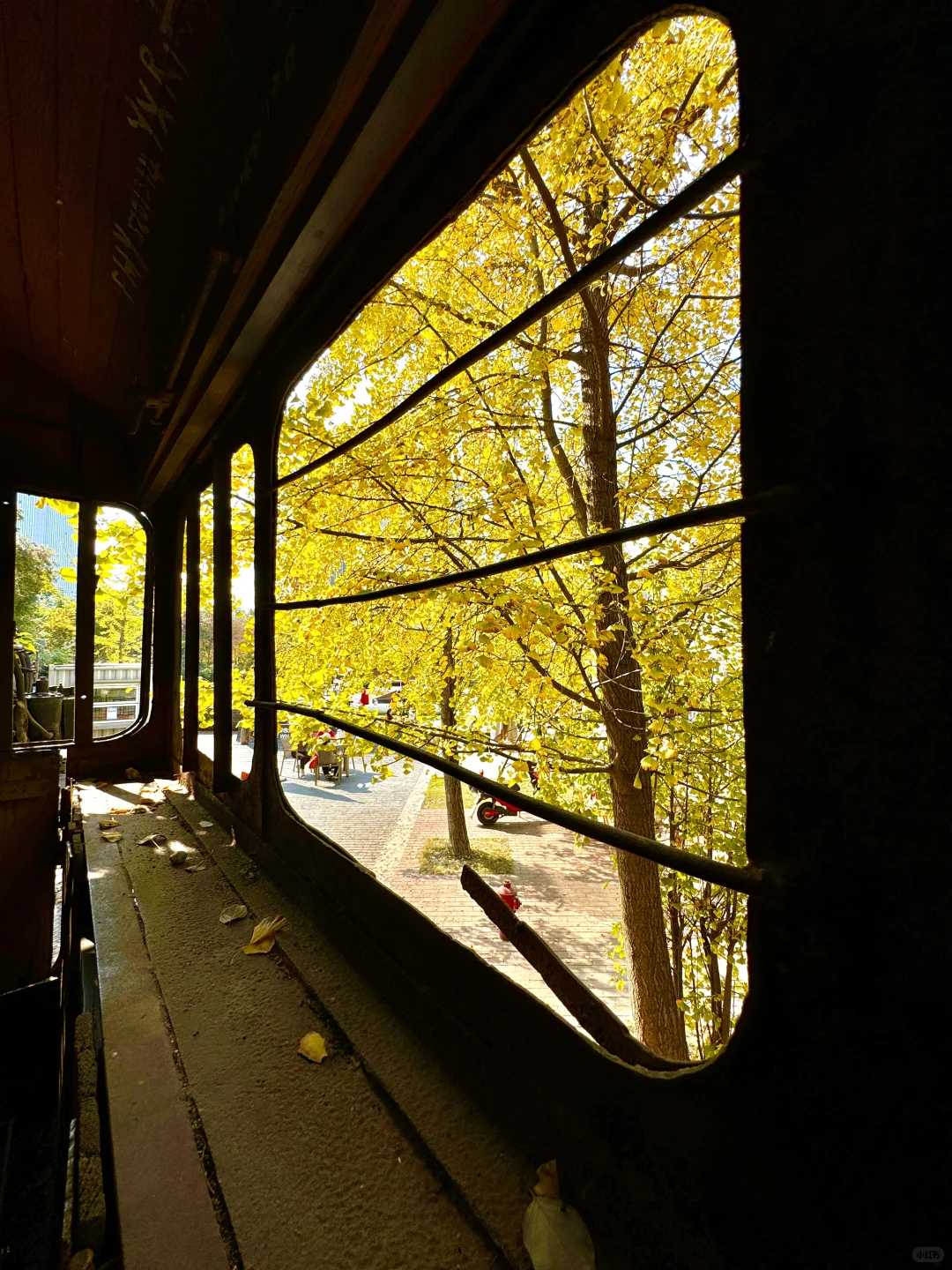 原来成都封神的秋景都是免费的。。。。附地址