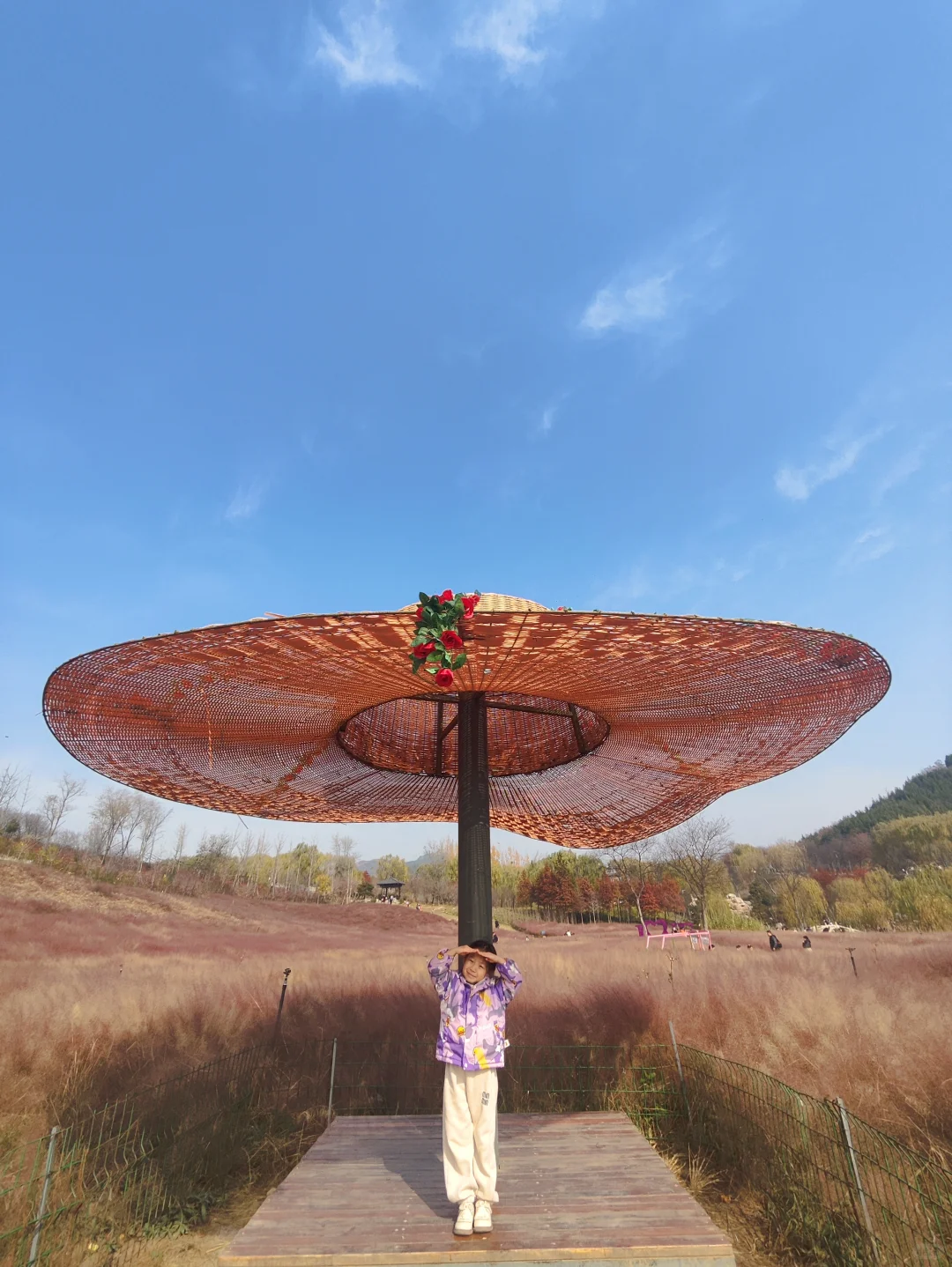 复兴区紫山公园一日游